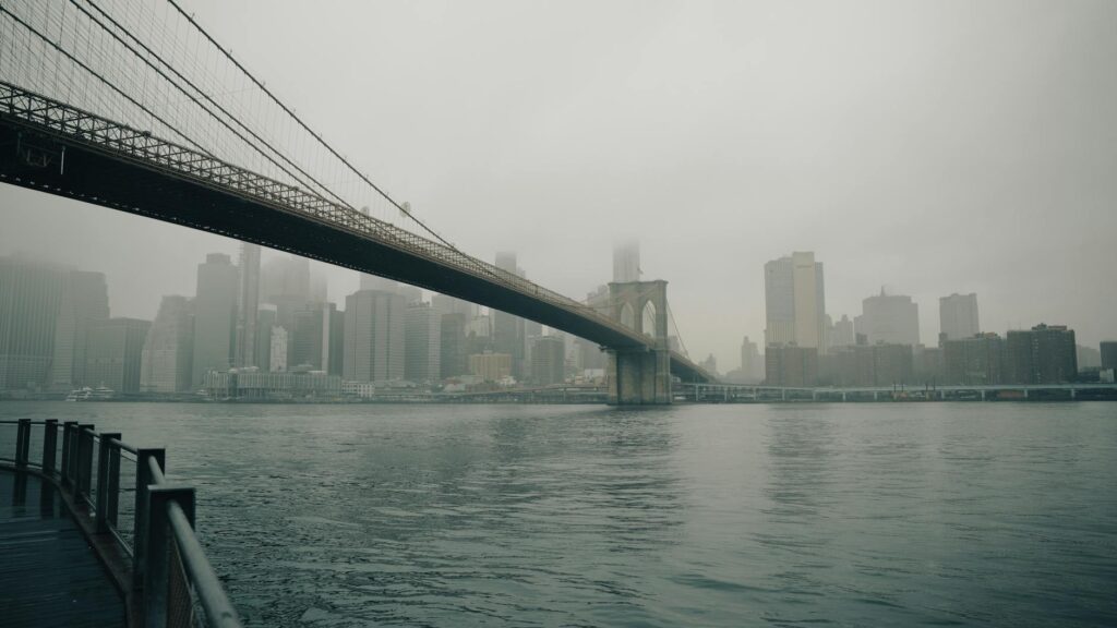 nyc gotham crime joe kernen zohran mamdani 20250626170334816432