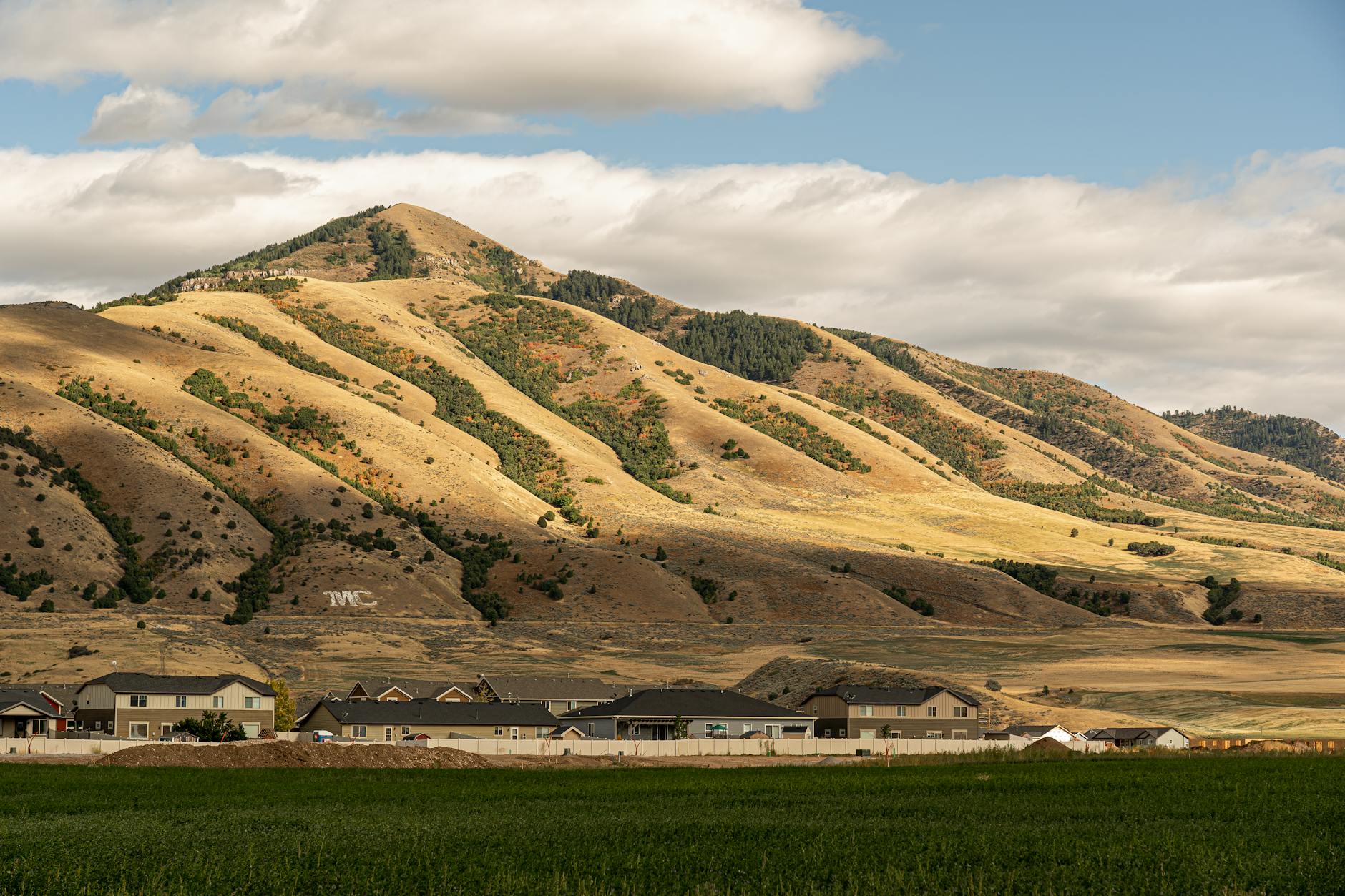 bjp fact finding report kolkata gangrape tmc reaction 20250709032904086691