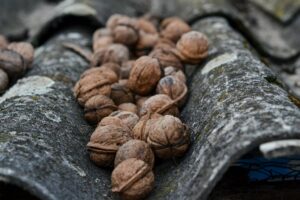 सूखे मौसम ने बढ़ाई ब्रिटेन में खाद्य महंगाई, फसलों को भारी नुकसान