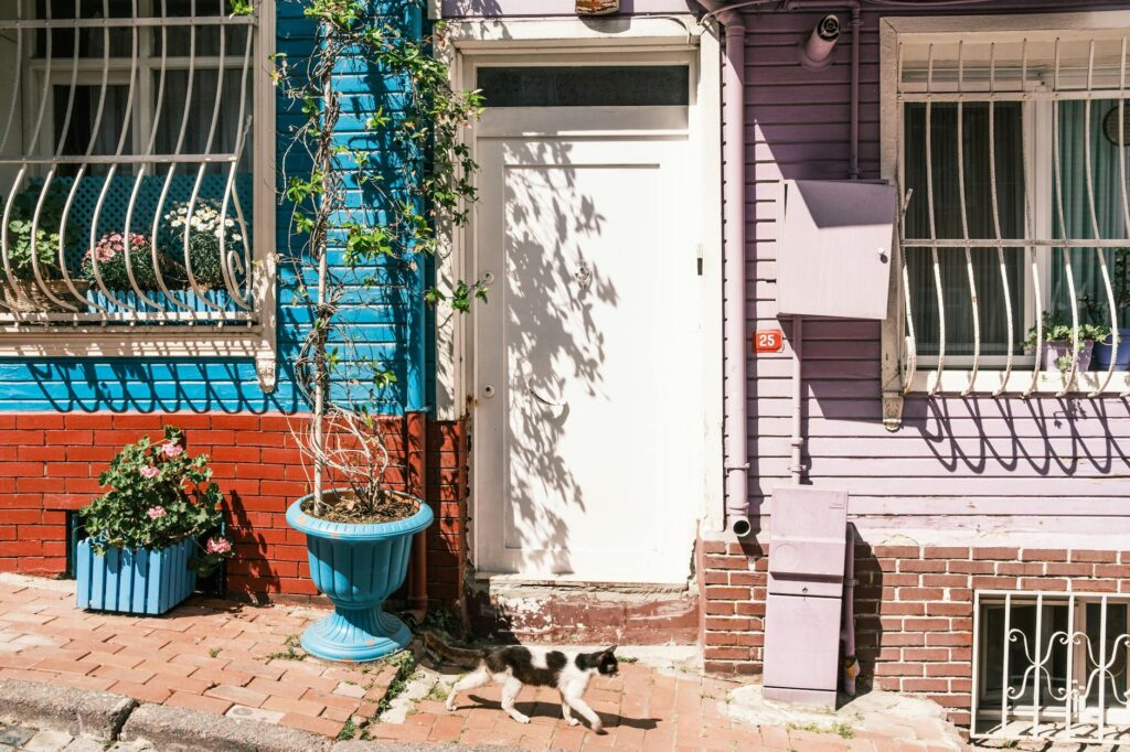 heart attack deaths young adults vaccine controversy siddara 20250702015322165730