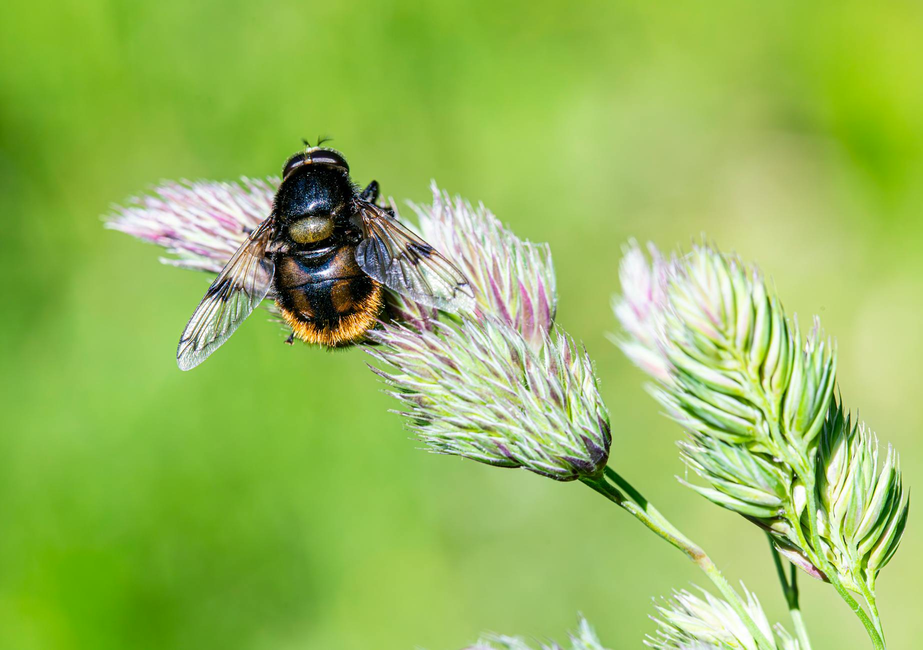 kraft heinz big breakup plan strategy 20250711195414158771