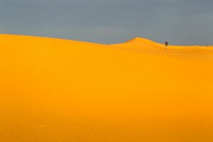 “NCR में 3 महिलाओं की हैवानियत: आरती, कांता और निर्मला का खौफनाक सच, कौन था अगला शिकार?”