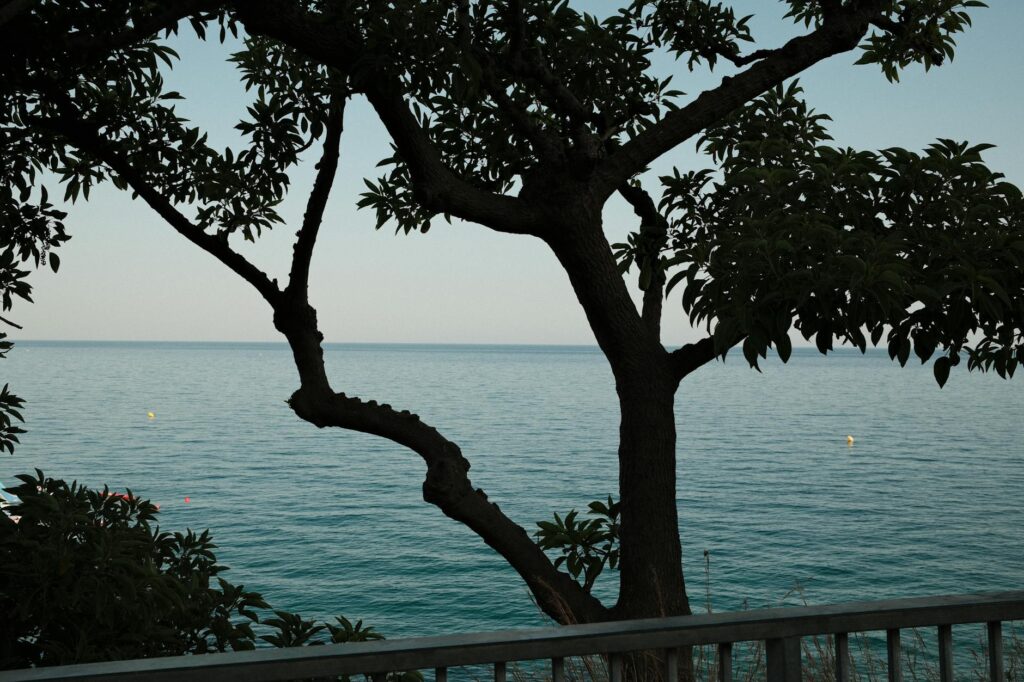 ocean darkening green humour rohan chakravarty 20250703130536375777