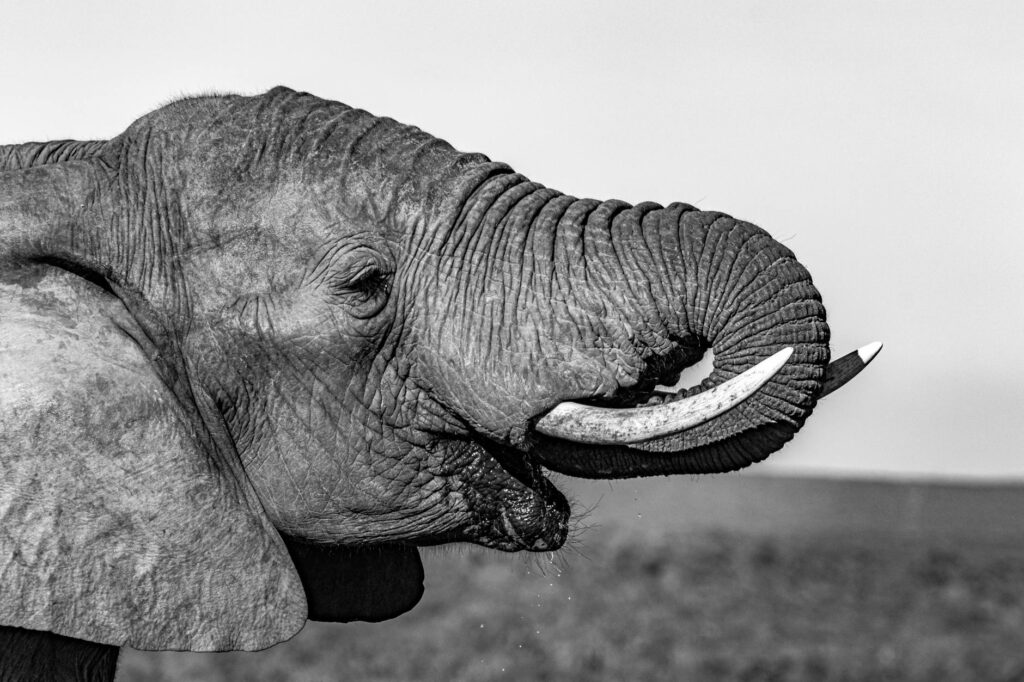 ec response voter list fraud rahul gandhi affidavit 20250807115441651830