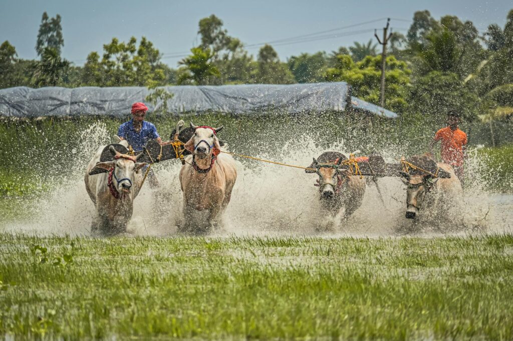 trump 50 percent tariff on india impact and options 20250807030609883870